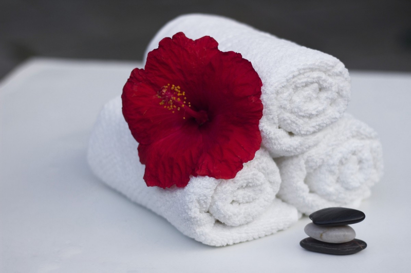 chambre-hote-MENTON-min_towel_hibiscus_clean_care_salon_spa_white_bath-869834